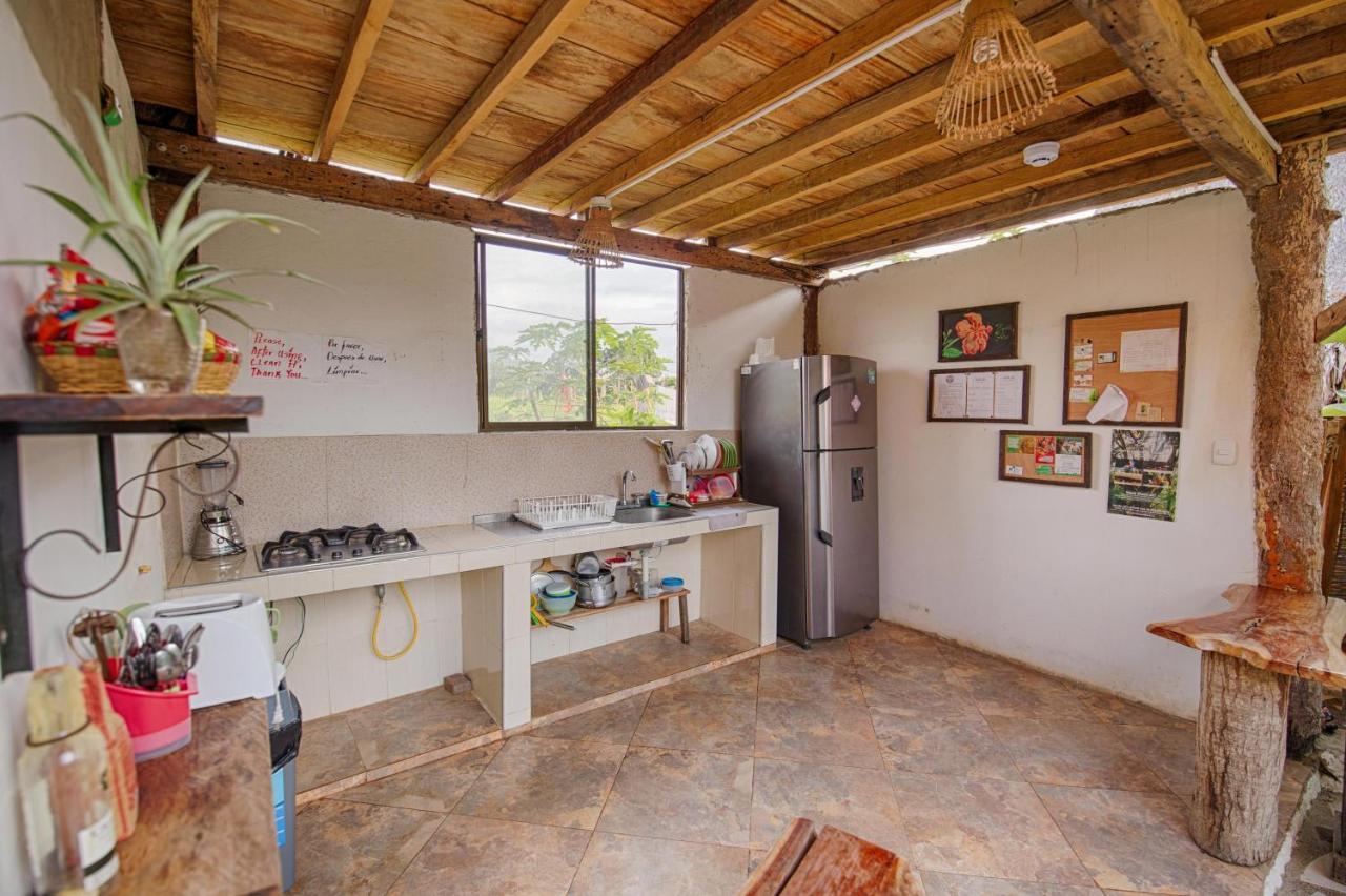 Bella Flor Hostel بالومينو المظهر الخارجي الصورة