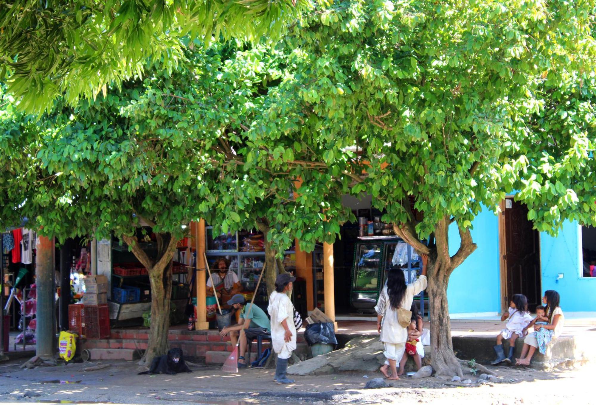 Bella Flor Hostel بالومينو المظهر الخارجي الصورة