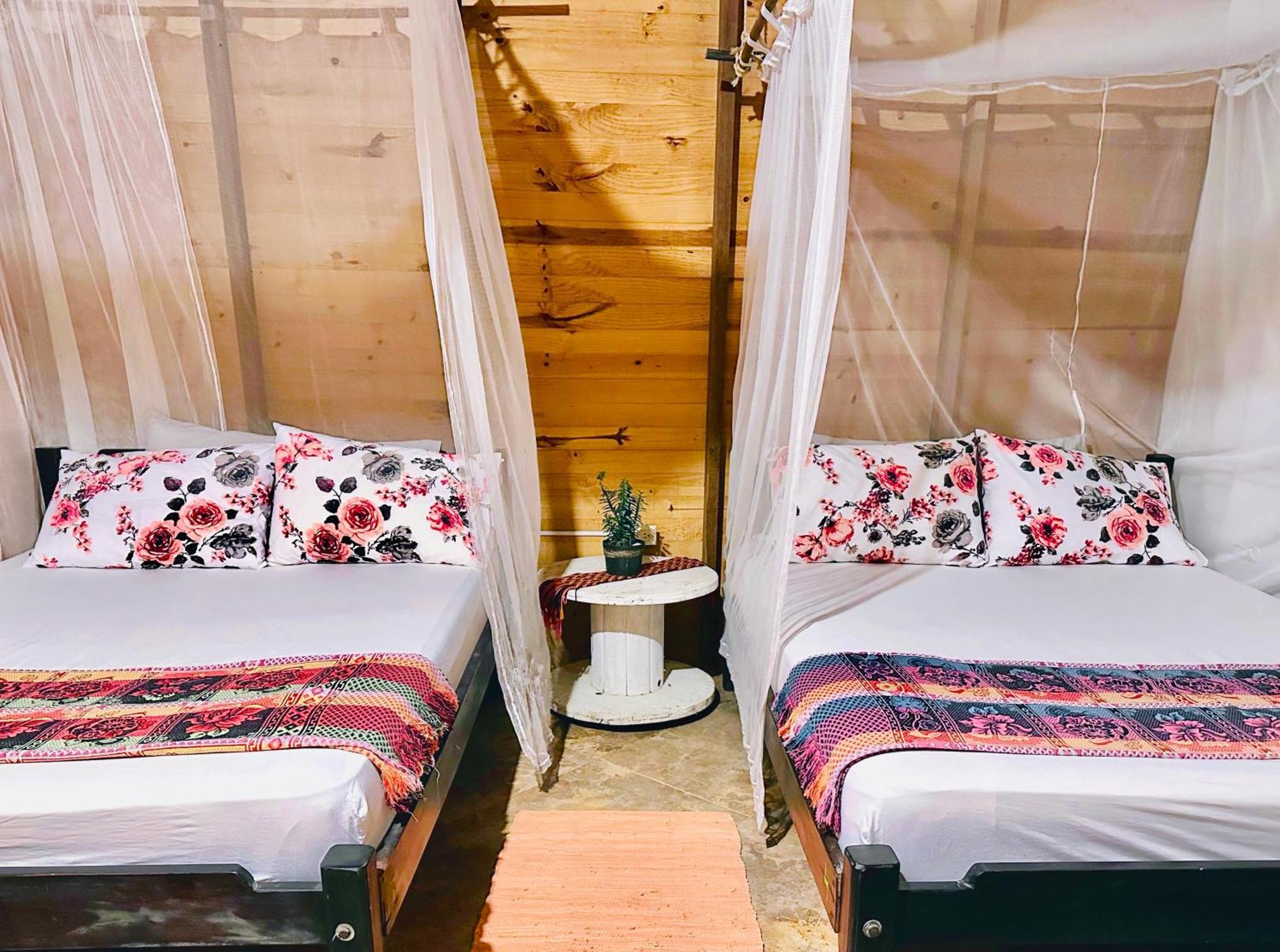 Bella Flor Hostel بالومينو المظهر الخارجي الصورة